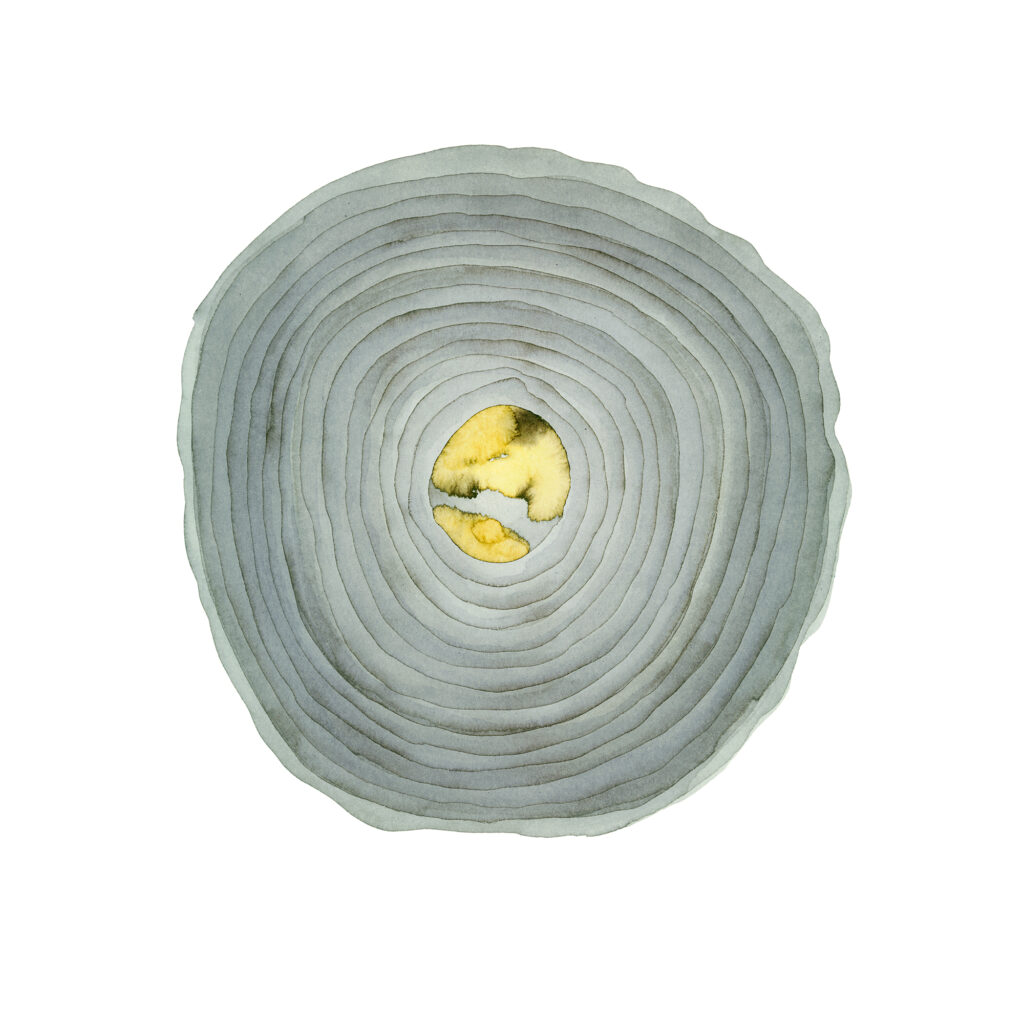 One Hour of the Light in the Dark