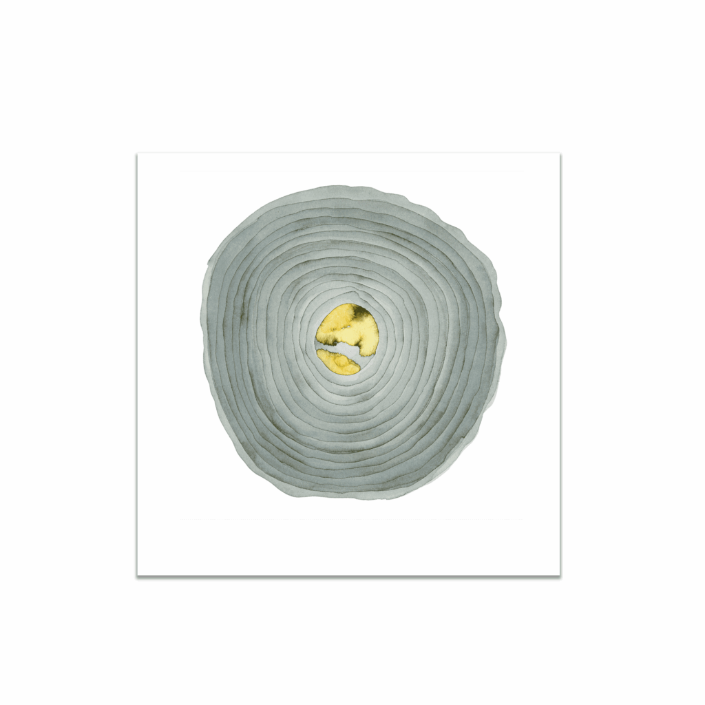 One Hour of the Light in the Dark