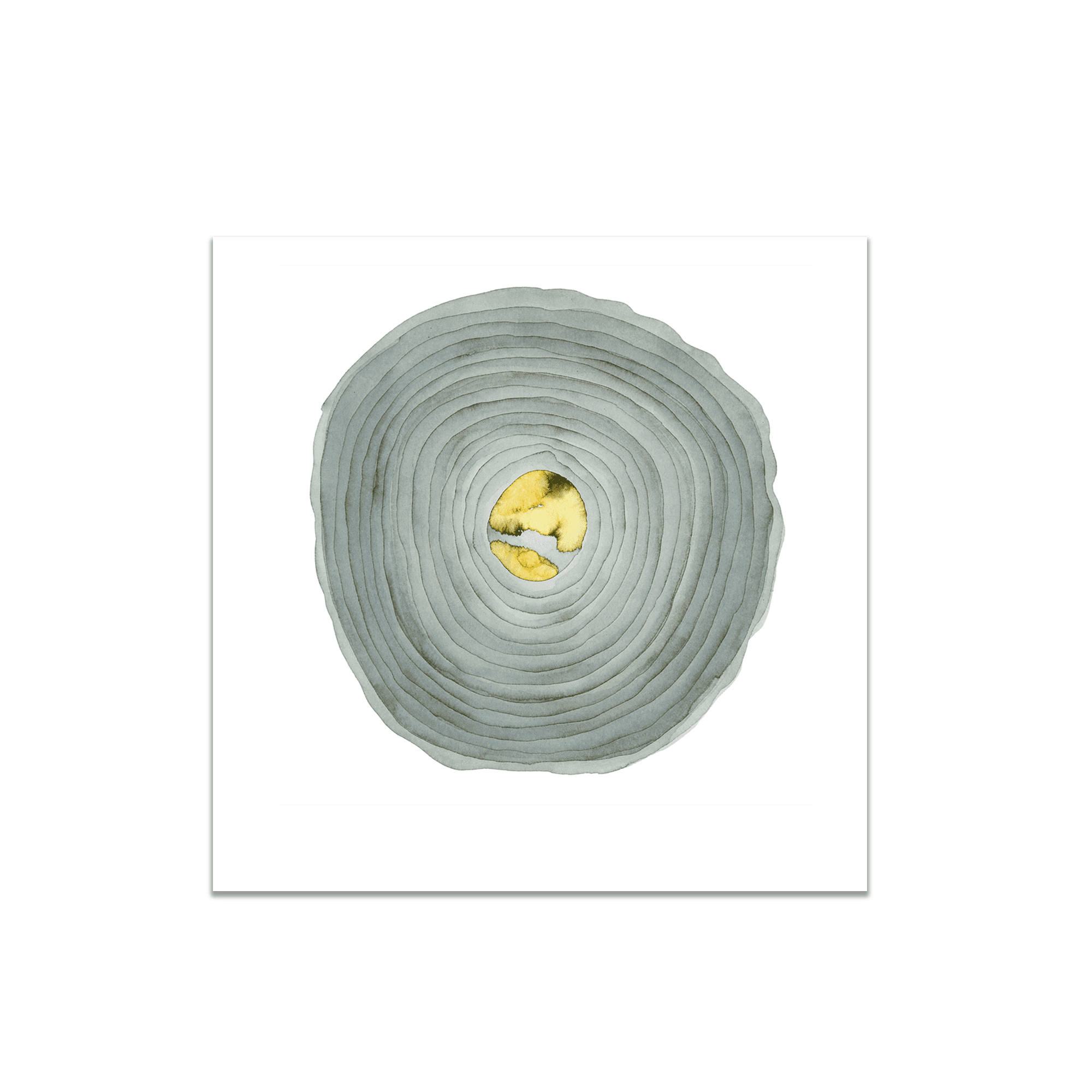 One Hour of the Light in the Dark